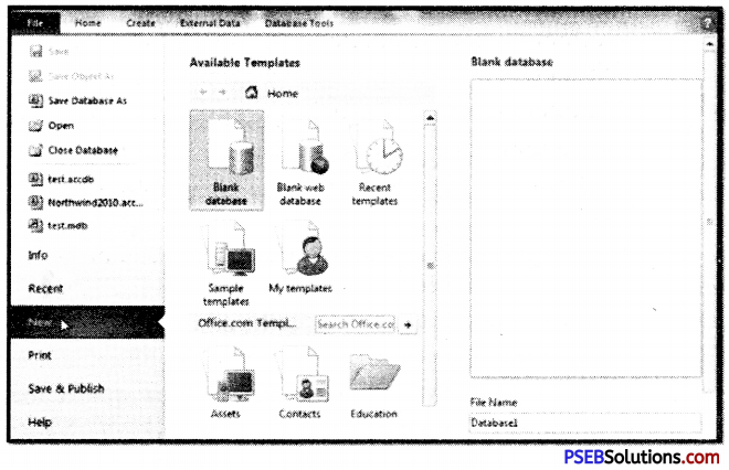 PSEB 9th Class Computer Notes Chapter 5 Introduction to MS-Access 3