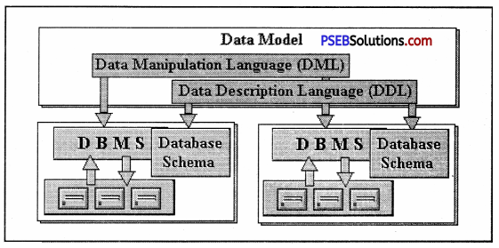 PSEB 9th Class Computer Solutions Chapter 4 Introduction to DBMS Img 1