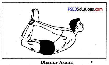 Yogic Exercises or Asanas Game Rules - PSEB 10th Class Physical Education 3