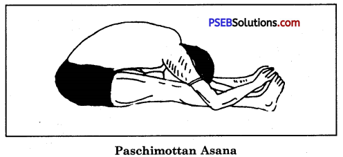 Yogic Exercises or Asanas Game Rules - PSEB 10th Class Physical Education 4