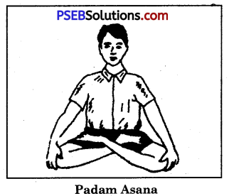 Yogic Exercises or Asanas Game Rules - PSEB 10th Class Physical Education 5