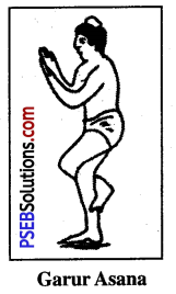 Yogic Exercises or Asanas Game Rules - PSEB 10th Class Physical Education 8
