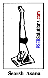 Yogic Exercises or Asanas Game Rules - PSEB 10th Class Physical Education 9