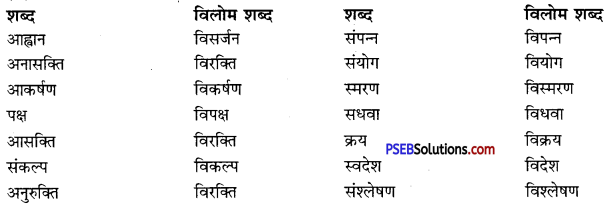 PSEB 10th Class Hindi Vyakaran विलोम शब्द 13