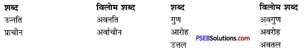 PSEB 10th Class Hindi Vyakaran विलोम शब्द 6