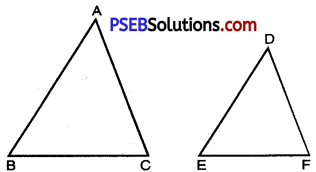 PSEB 10th Class Maths Solutions Chapter 6 Triangles Ex 6.4 5