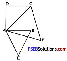 PSEB 10th Class Maths Solutions Chapter 6 Triangles Ex 6.4 8