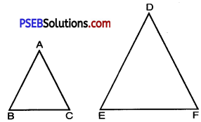 PSEB 10th Class Maths Solutions Chapter 6 Triangles Ex 6.4 9