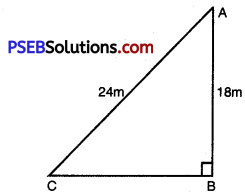 PSEB 10th Class Maths Solutions Chapter 6 Triangles Ex 6.5 10
