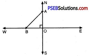 PSEB 10th Class Maths Solutions Chapter 6 Triangles Ex 6.5 11