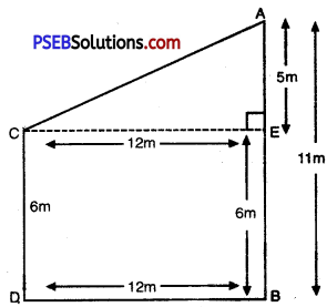 PSEB 10th Class Maths Solutions Chapter 6 Triangles Ex 6.5 12