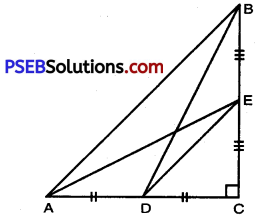 PSEB 10th Class Maths Solutions Chapter 6 Triangles Ex 6.5 13