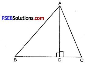 PSEB 10th Class Maths Solutions Chapter 6 Triangles Ex 6.5 15