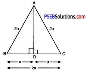 PSEB 10th Class Maths Solutions Chapter 6 Triangles Ex 6.5 17