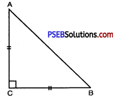 PSEB 10th Class Maths Solutions Chapter 6 Triangles Ex 6.5 3