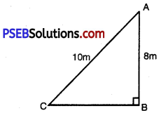 PSEB 10th Class Maths Solutions Chapter 6 Triangles Ex 6.5 9