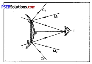 PSEB 10th Class Science Important Questions Chapter 10 Light Reflection and Refraction 25