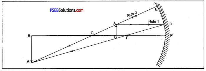 PSEB 10th Class Science Important Questions Chapter 10 Light Reflection and Refraction 26