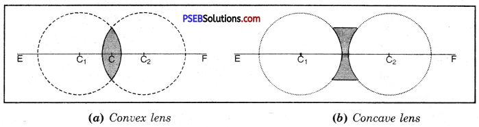 PSEB 10th Class Science Important Questions Chapter 10 Light Reflection and Refraction 37
