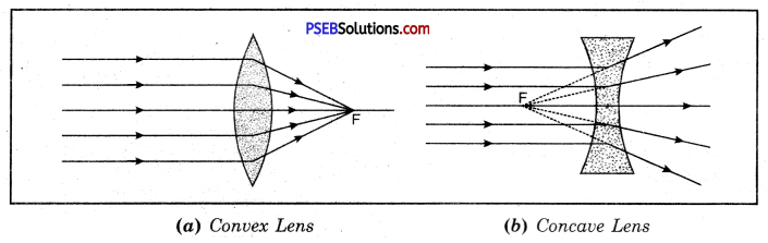 PSEB 10th Class Science Important Questions Chapter 10 Light Reflection and Refraction 38