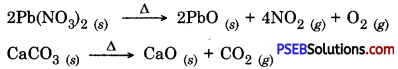 PSEB 10th Class Science Solutions Chapter 1 Chemical Reactions and Equations 1