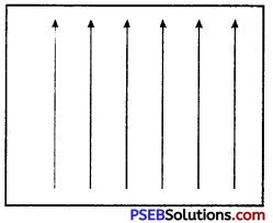 PSEB 10th Class Science Solutions Chapter 13 Magnetic Effects of Electric Current 10