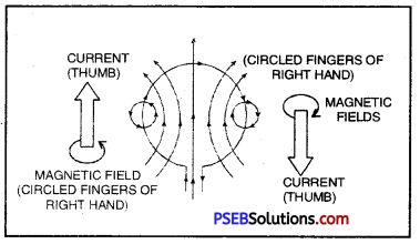 PSEB 10th Class Science Solutions Chapter 13 Magnetic Effects of Electric Current 9