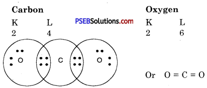 PSEB 10th Class Science Solutions Chapter 4 Carbon and its Compounds 11