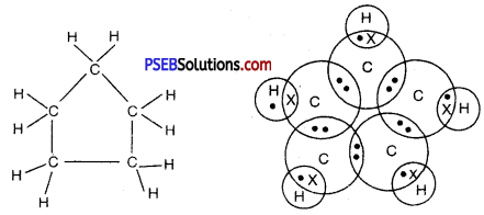 PSEB 10th Class Science Solutions Chapter 4 Carbon and its Compounds 15