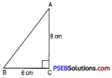 PSEB 7th Class Maths Solutions Chapter 6 Triangles Ex 6.3 10