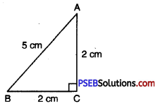 PSEB 7th Class Maths Solutions Chapter 6 Triangles Ex 6.3 5