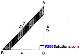 PSEB 7th Class Maths Solutions Chapter 6 Triangles Ex 6.3 7