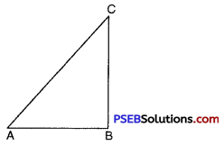 PSEB 7th Class Maths Solutions Chapter 6 Triangles Ex 6.3 9