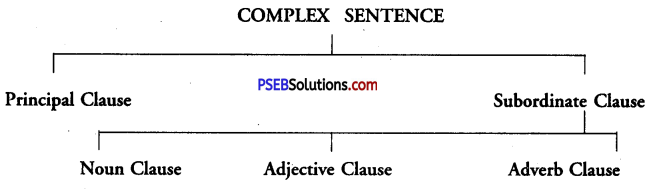 PSEB 9th Class English Grammar Simple and Complex Sentences 1