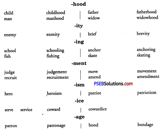 PSEB 9th Class English Vocabulary Formation of Words 10