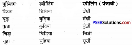 PSEB 9th Class Hindi Vyakaran अनुवाद 21