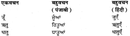 PSEB 9th Class Hindi Vyakaran अनुवाद 31