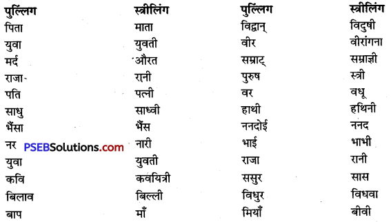 PSEB 9th Class Hindi Vyakaran लिंग 11