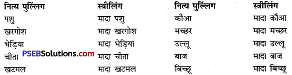 PSEB 9th Class Hindi Vyakaran लिंग 12