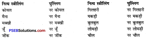 PSEB 9th Class Hindi Vyakaran लिंग 13