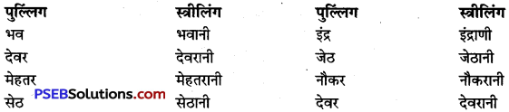 PSEB 9th Class Hindi Vyakaran लिंग 3