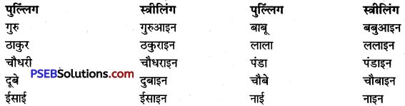 PSEB 9th Class Hindi Vyakaran लिंग 4