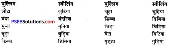 PSEB 9th Class Hindi Vyakaran लिंग 5