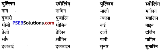 PSEB 9th Class Hindi Vyakaran लिंग 6