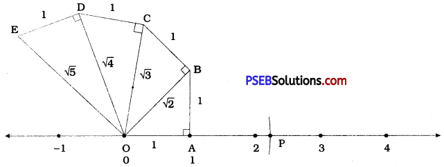 PSEB 9th Class Maths Solutions Chapter 1 Number Systems Ex 1.2 1