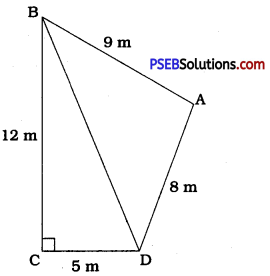 PSEB 9th Class Maths Solutions Chapter 12 Heron's Formula Ex 12.2 1