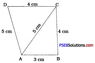PSEB 9th Class Maths Solutions Chapter 12 Heron's Formula Ex 12.2 2