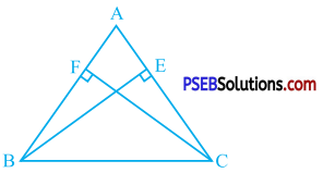 PSEB 9th Class Maths Solutions Chapter 7 Triangles Ex 7.2 3