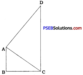 PSEB 9th Class Maths Solutions Chapter 7 Triangles Ex 7.4 4