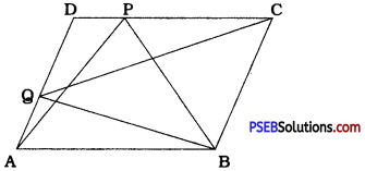 PSEB 9th Class Maths Solutions Chapter 9 Areas of Parallelograms and Triangles Ex 9.2 3